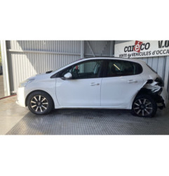 Mastervac PEUGEOT 208 1