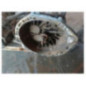 Boite de vitesses RENAULT SCENIC 2
