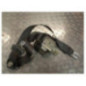 Ceinture avant gauche RENAULT SCENIC 2