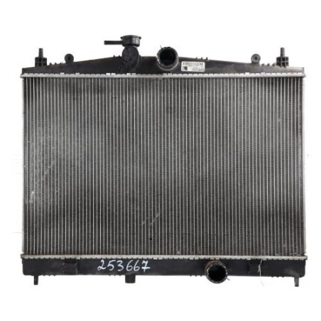 Radiateur eau NISSAN JUKE 1 Photo n°1