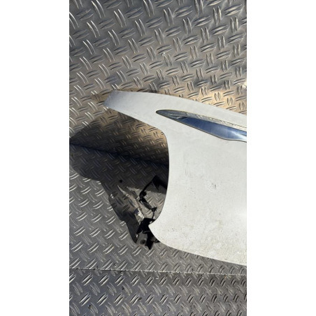 Malle/Hayon arriere CITROEN DS3