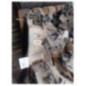 Boite de vitesses RENAULT SCENIC 3
