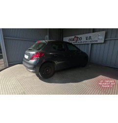Mastervac PEUGEOT 207 Photo n°4