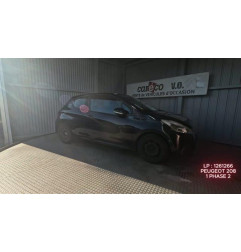 Mastervac PEUGEOT 208 1 Photo n°3