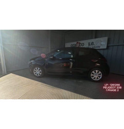 Mastervac PEUGEOT 208 1 Photo n°8