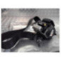 Ceinture avant gauche MERCEDES CLASSE B 245