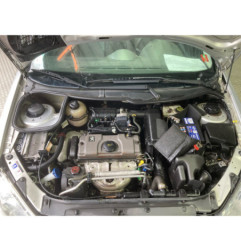 Mastervac PEUGEOT 206