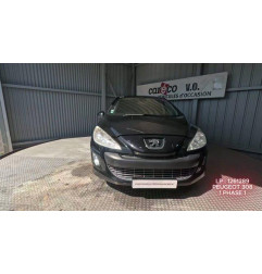 Mastervac PEUGEOT 308 1 Photo n°1