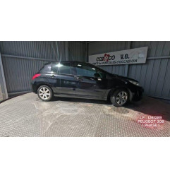 Mastervac PEUGEOT 308 1
