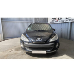 Mastervac PEUGEOT 308 1 Photo n°14
