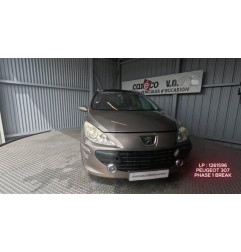 Mastervac PEUGEOT 307 Photo n°1