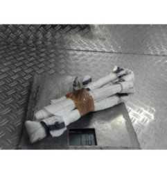 Air bag rideau gauche RENAULT MEGANE 4