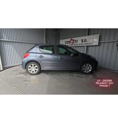 Capot PEUGEOT 207