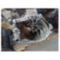 Boite de vitesses PEUGEOT 2008 1