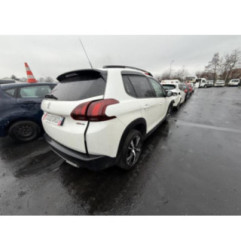 Porte arriere gauche PEUGEOT 2008 1 Photo n°19