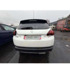 Porte arriere gauche PEUGEOT 2008 1 Photo n°20