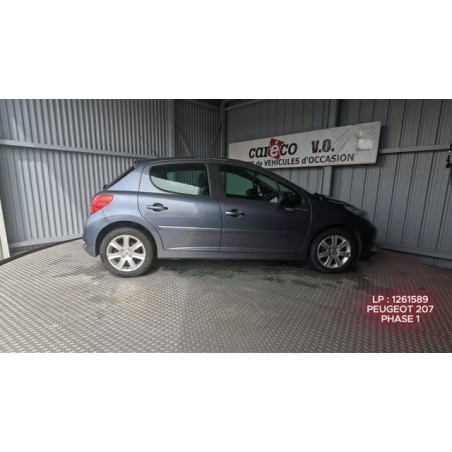 Cremaillere assistee PEUGEOT 207