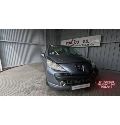 Mastervac PEUGEOT 207 Photo n°1