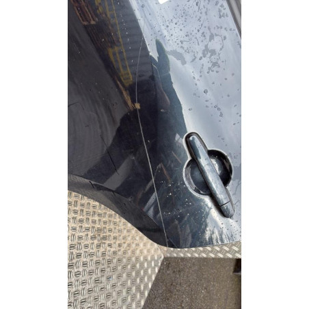 Porte arriere gauche TOYOTA RAV4 3