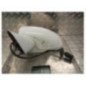 Retroviseur gauche OPEL CORSA D