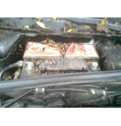 Alternateur RENAULT MASTER 3 Photo n°7