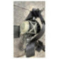 Ceinture avant droit RENAULT CLIO 3