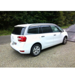 Porte arriere gauche CITROEN C4 GRAND PICASSO 2 Photo n°13