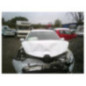 Porte arriere gauche RENAULT CLIO 4