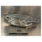 Optique avant principal droit (feux)(phare) IVECO DAILY 6