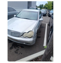 Porte avant droit MERCEDES CLASSE C 203 Photo n°11