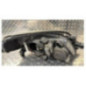 Optique avant principal gauche (feux)(phare) NISSAN PRIMERA 4