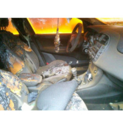 Moteur essuie glace avant FIAT BRAVO 2 Photo n°7