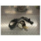Ceinture avant droit RENAULT CLIO 3