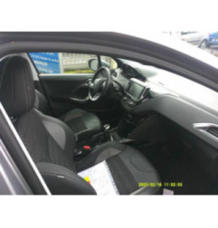 Porte arriere gauche PEUGEOT 2008 1 Photo n°7