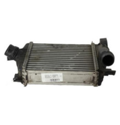 Echangeur air (Intercooler) DACIA DUSTER 1 Photo n°1