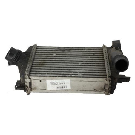 Echangeur air (Intercooler) DACIA DUSTER 1 Photo n°1