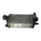 Echangeur air (Intercooler) DACIA DUSTER 1