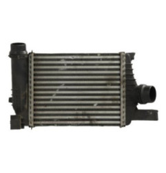 Echangeur air (Intercooler) DACIA DUSTER 1