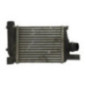 Echangeur air (Intercooler) DACIA DUSTER 1