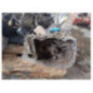 Boite de vitesses RENAULT MODUS