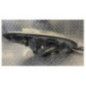 Optique avant principal gauche (feux)(phare) PEUGEOT 407
