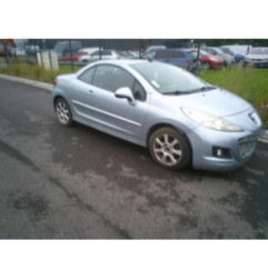 Porte avant droit PEUGEOT 207 Photo n°5