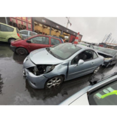 Porte avant droit PEUGEOT 207 Photo n°12