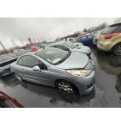 Porte avant droit PEUGEOT 207 Photo n°13