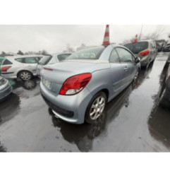 Porte avant droit PEUGEOT 207 Photo n°18