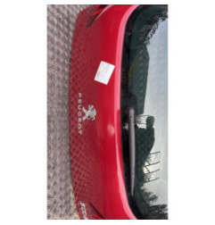 Malle/Hayon arriere PEUGEOT 3008 1 Photo n°3