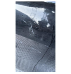 Porte avant gauche BMW SERIE 5 F10 Photo n°4