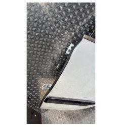 Porte arriere gauche CITROEN DS4