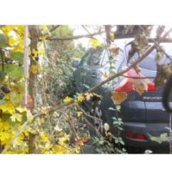 Malle/Hayon arriere PEUGEOT 3008 1 Photo n°10