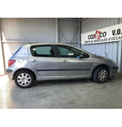 Mastervac PEUGEOT 307 Photo n°17